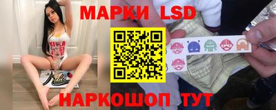 стафф Камышлов