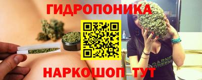 стафф Камышлов