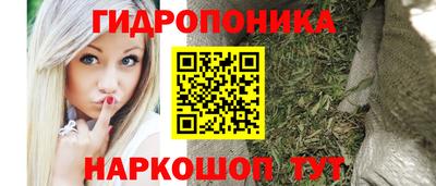 стафф Камышлов